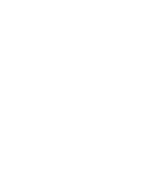 Blueprint for Gender Equality Logo